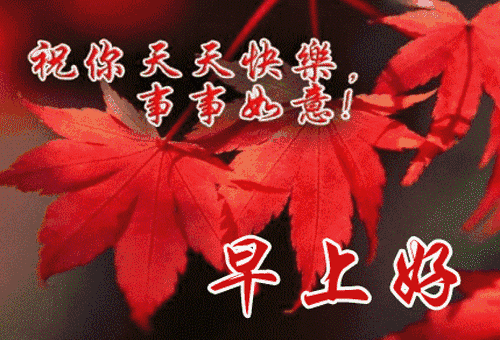 周末问候短信大全(发给客户周末问候短信)-第2张图片-