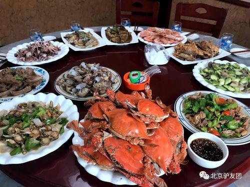 4、住宿和饮食: