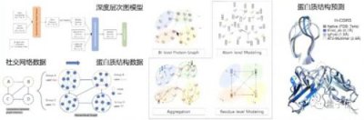 ​抗体人源化改造(抗体人源化的方法有哪些)