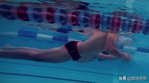 怎样学游泳初学者视频教程？怎样学游泳最快最好-第1张图片-