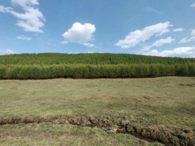 ​承德木兰围场坝上草原旅游攻略，承德木兰围场门票价格