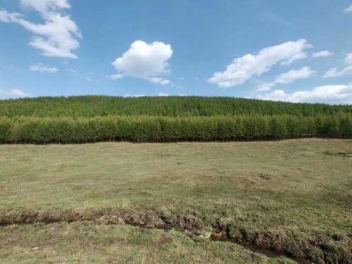 承德木兰围场坝上草原旅游攻略，承德木兰围场门票价格-第1张图片-