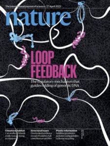 ​自然科学论文8000字(自然科学论文和社会科学论文的区别)