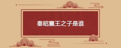 ​秦昭襄王之子是谁