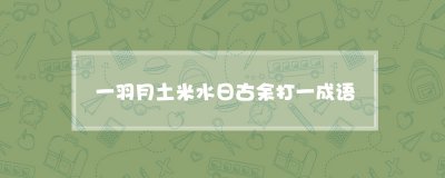 ​一羽月土米水日古余打一成语