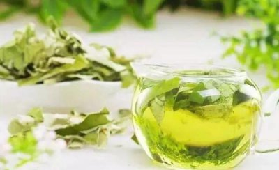 ​荷叶的禁忌，女性月经期禁用/荷叶泡水放凉后服用