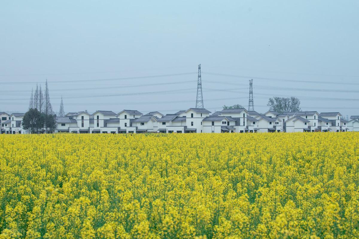 成都春天适合拍照打卡的地方(成都拍照打卡地方有哪些)