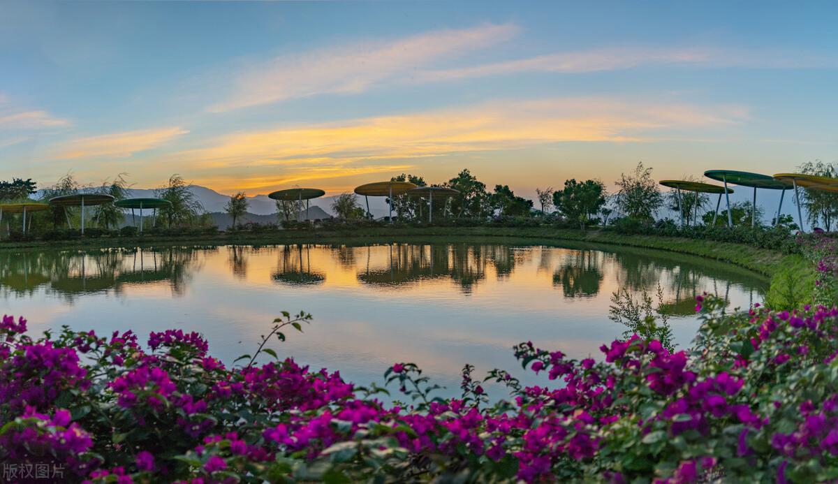 成都春天适合拍照打卡的地方(成都拍照打卡地方有哪些)