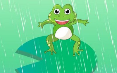 ​下雨前动物的表现，蚂蚁搬家/蜘蛛收网（青蛙叫声非常大）