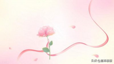 ​52度的黄山人酒多少钱