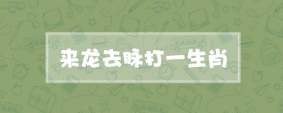 ​来龙去脉打一生肖
