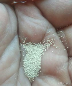 ​自制白酒的做法(自制老白酒的做法大全)