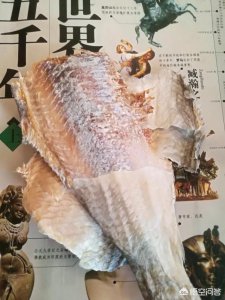 ​用什么词语形容酒？用什么词语形容酒吧音乐氛围