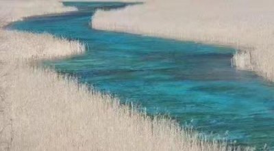 ​姐弟恋几岁可以接受(姐弟恋要相差多少岁才能算)