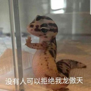 ​让人眼前一亮的游戏名(眼前一亮的游戏id)