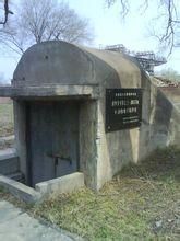 731部队给人注射寄生虫提取物是真的吗？731活体注射-第1张图片-