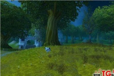 ​艾尔文森林怎么去