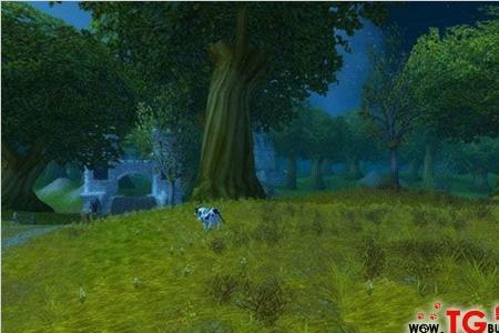 艾尔文森林怎么去