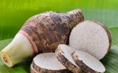 ​气血不足脾胃不适多吃芋头 芋头是养生的最佳食物