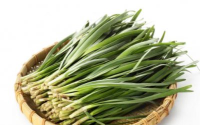 ​补肾也要食补 10款补肾美食做法美味健康满满