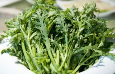 ​将炒青菜改为水煮青菜 烹调蔬菜也有小技巧