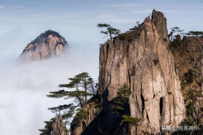 ​仰韶至尊酒价格查询  仰韶高端酒系列