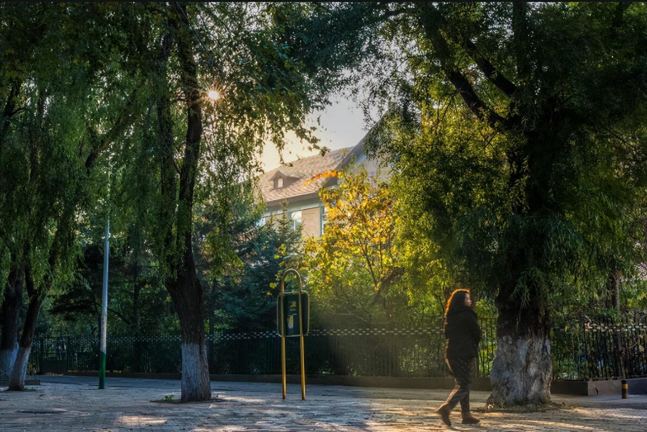 哈师大是一本还是二本(哈师大是双一流大学吗)