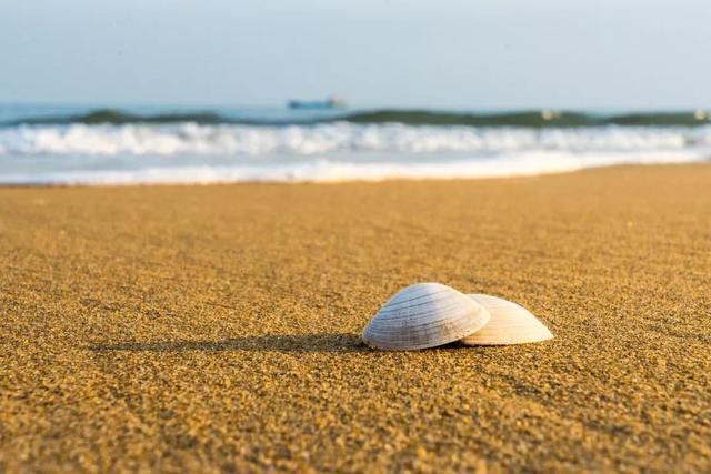日照哪个房子最值得买(碧山临海寻一处心灵栖息地)(3)