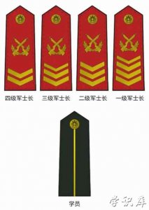 ​一级军士长什么级别(军士长的级别及待遇工资)