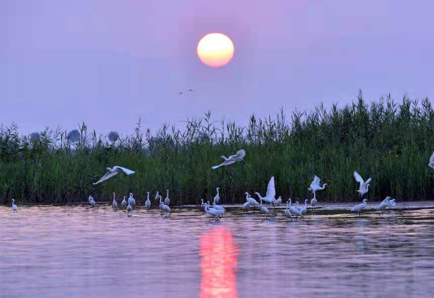 衡水的由来(衡水地名由来)