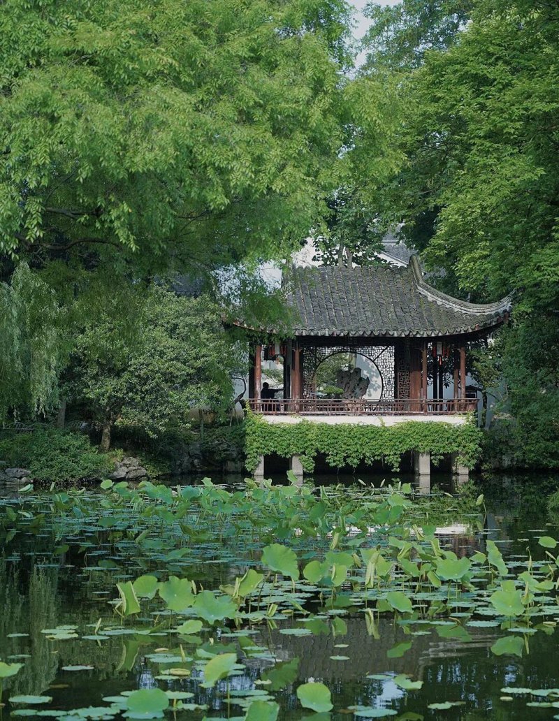 苏州拙政园门票多少钱(拙政园门票哪里买便宜)