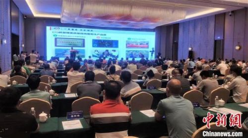 巨峰葡萄产地在哪(巨峰葡萄产地哪里最好吃)-第1张图片-