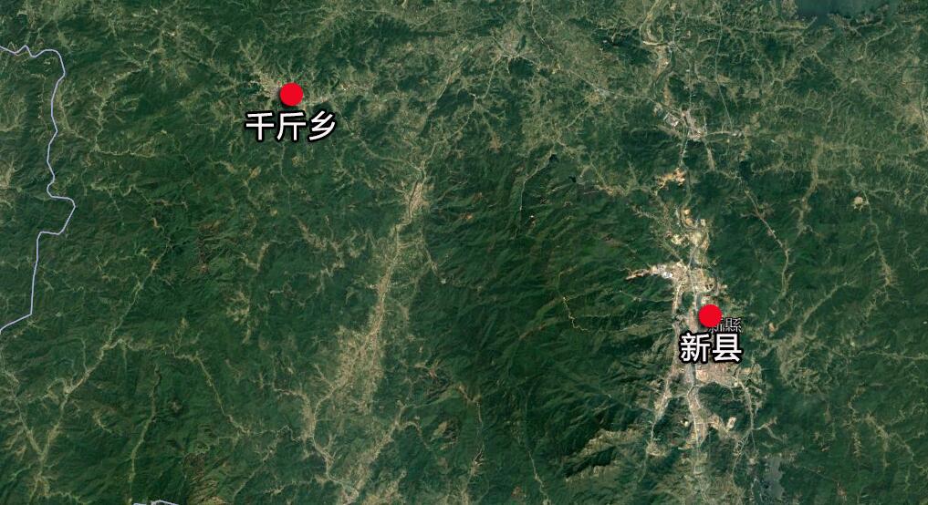 中原银杏第一村：新县千斤乡名称由来