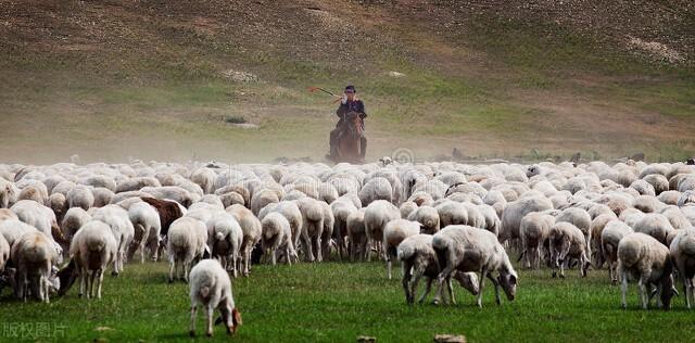 我国最平坦的高原(我国最平坦的高原是哪个高原)