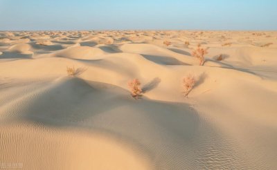 ​塔里木盆地在哪(塔里木盆地面积)