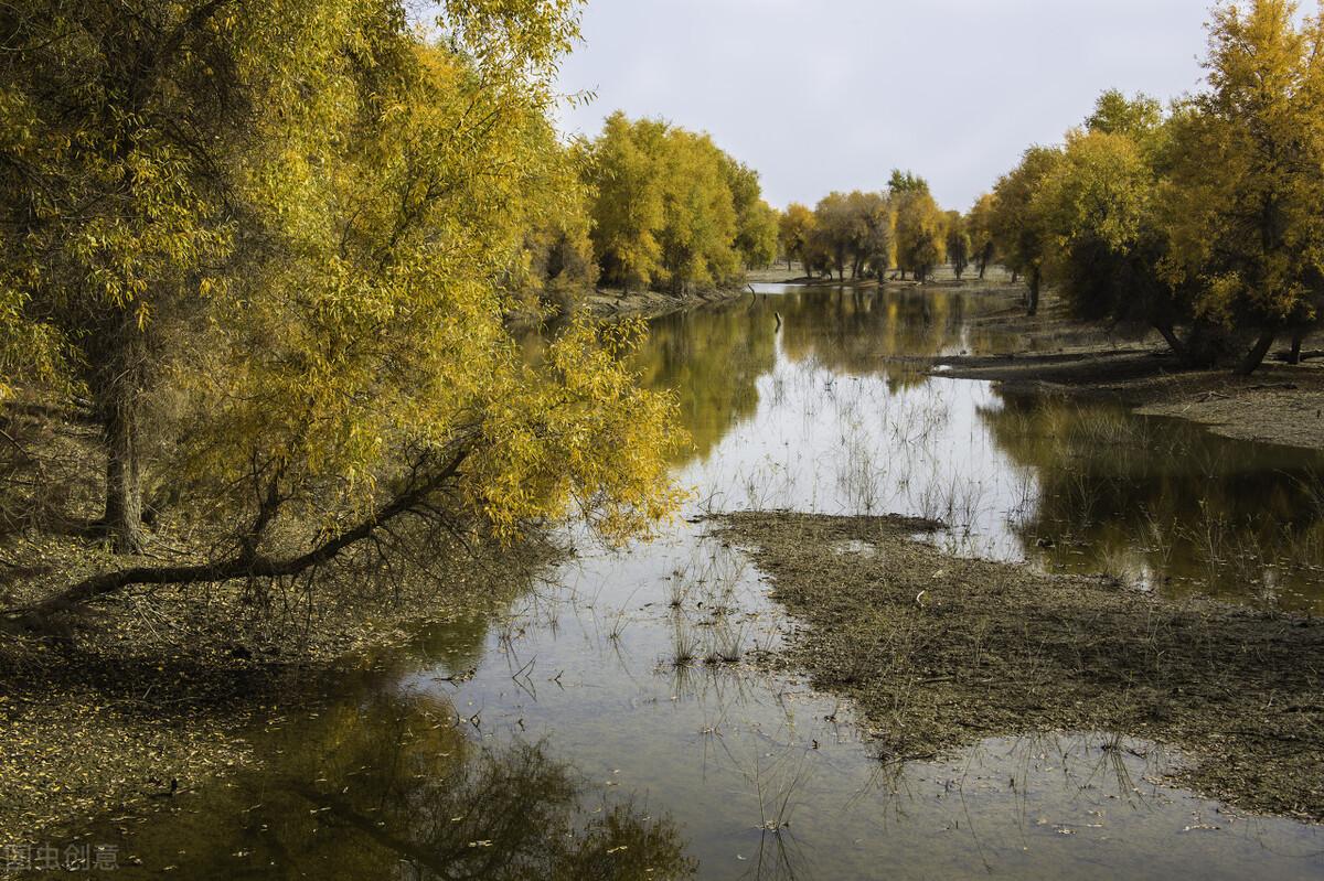 塔里木盆地在哪(塔里木盆地面积)