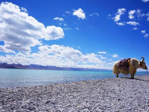 拉萨为什么被称为日光城(为什么日照时间长)