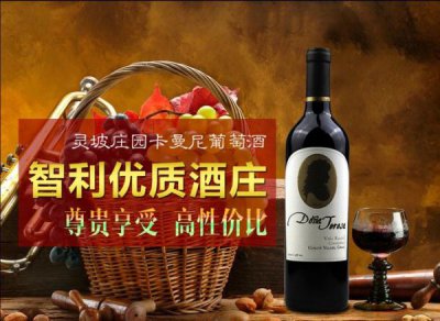 ​贝尔维天使干红葡萄酒(法国贝尔维干红葡萄酒)