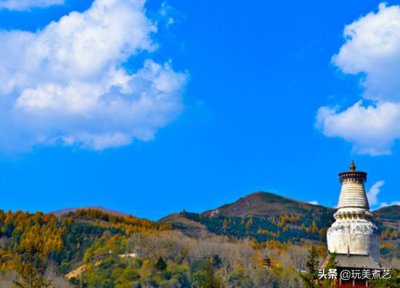 ​黑龙江五谷丰登酒价格(五谷丰登酒价格52度)