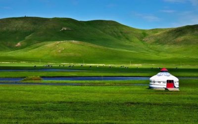 ​响沙王酒多少钱(响沙王酒价格表查询)