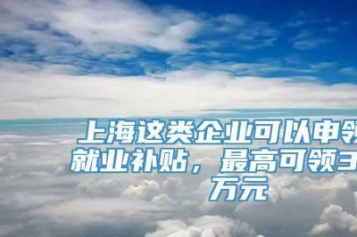 ​社会型企业有哪些