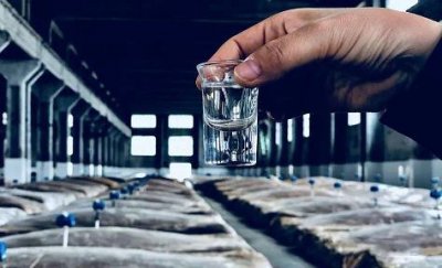 ​洋河蓝色经典梦6多少钱一瓶_洋河蓝色经典梦12