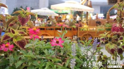 ​2019青岛啤酒节接待人数，青岛啤酒节2018