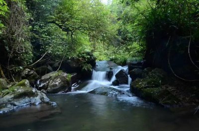 ​赣州哪里可以露营烧烤