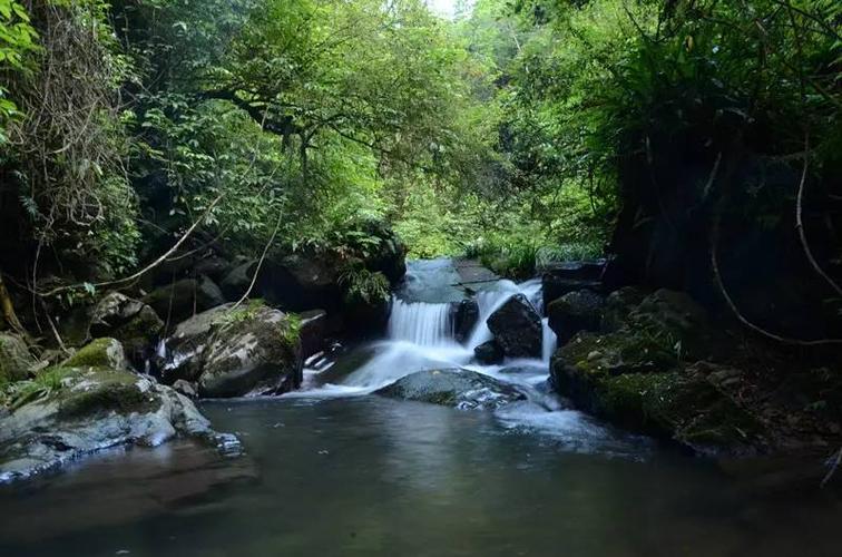 1、赣州东郊森林公园