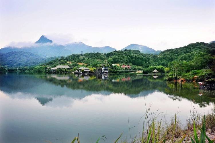 2、尖峰岭国家森林公园