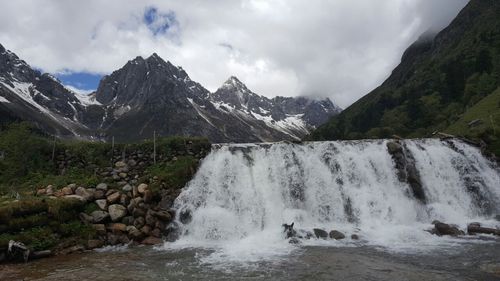 2、毕棚沟的门票为5元/人；