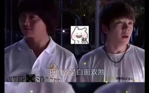 王栎鑫在一起来看流星雨里演谁