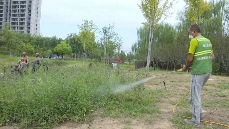 空气中白色的小虫子像灰尘（小白虫像灰尘是什么虫）