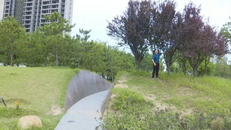 空气中白色的小虫子像灰尘（小白虫像灰尘是什么虫）